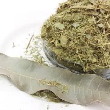 Fresh Dry Mango Leaves
